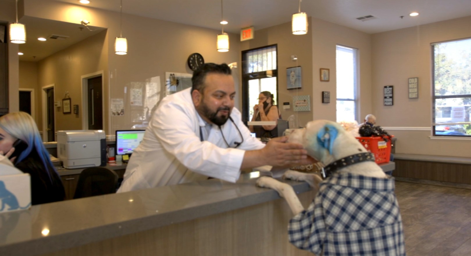 Veterinarian interacting with a dog in the reception area at Central Valley Veterinary Hospital - showcasing our compassionate team and welcoming environment