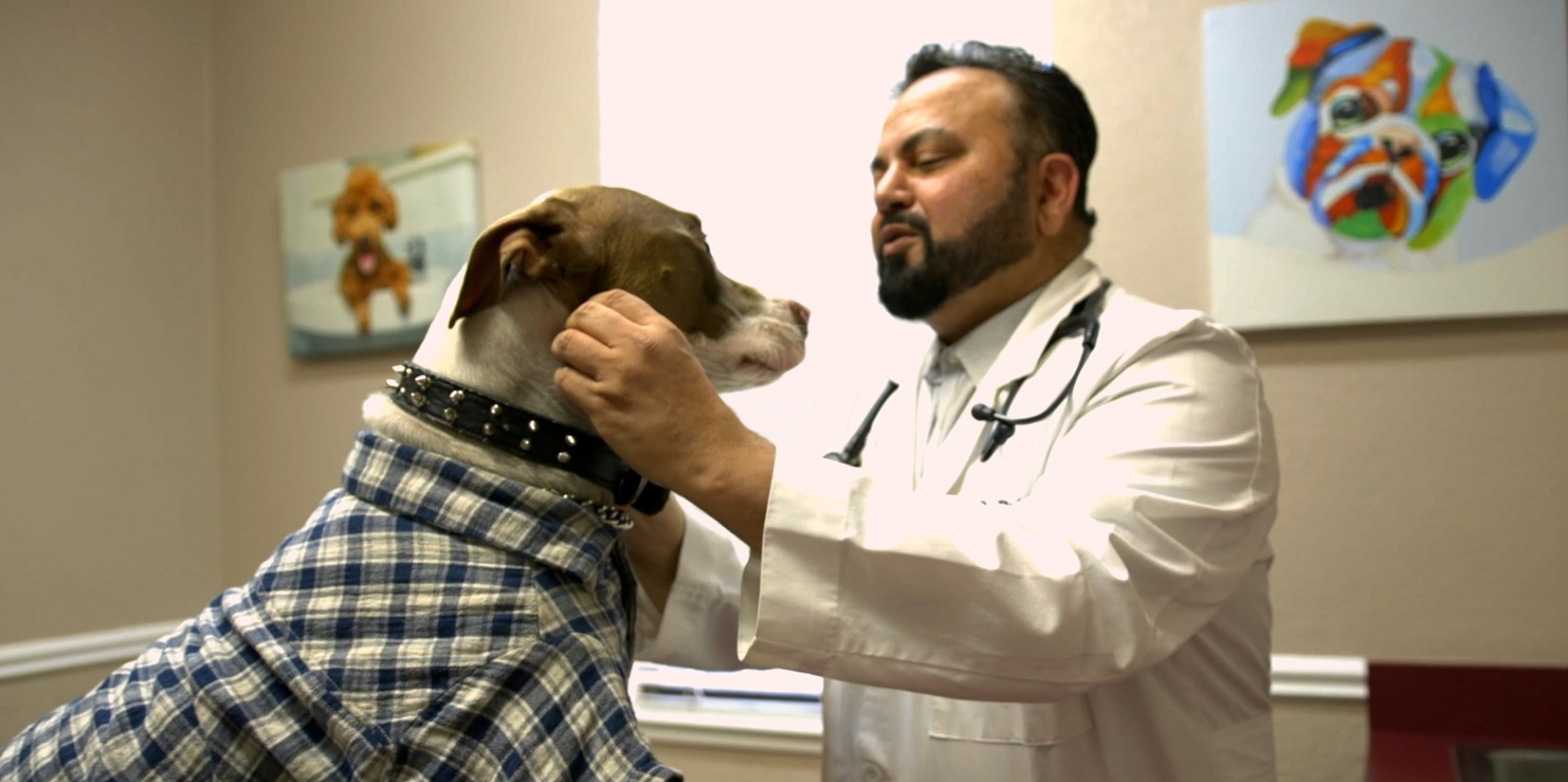 Dr. Raj Dhanota with a patient - Central Valley Veterinary Hospital