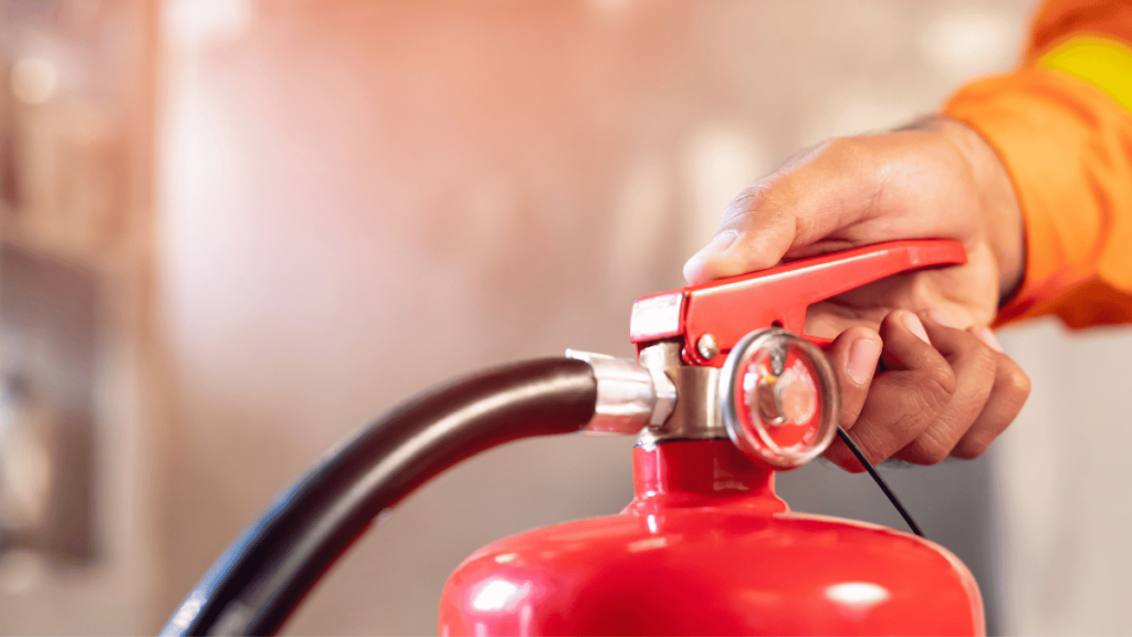 Plan of Action for Pet Safety in Case of Fire