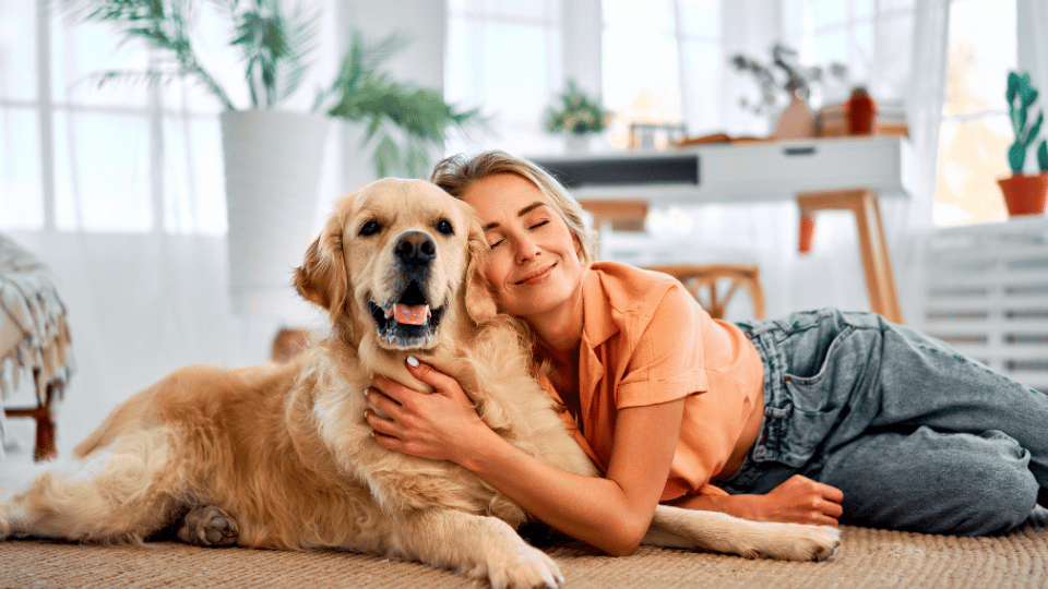Spaying Your Dog: Benefits and Post-Surgery Care